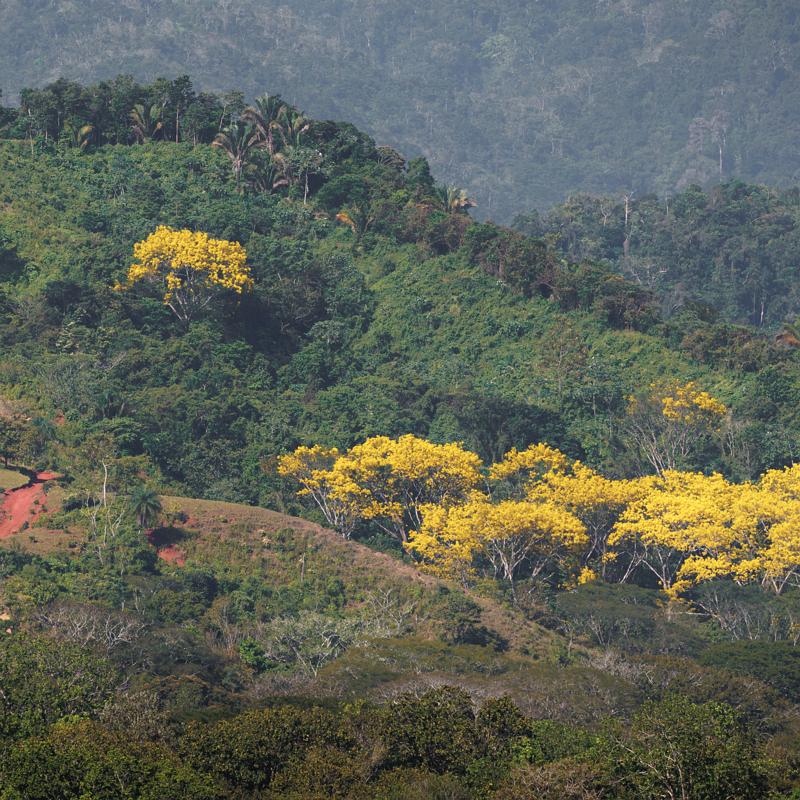 CostaRica20221231 IMG 0042