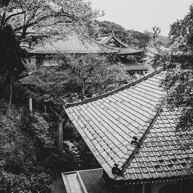 Japan20120411 IMG 3581