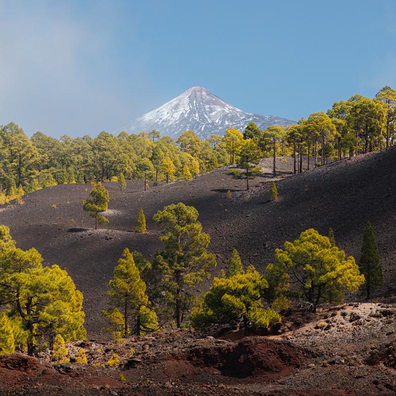 Tenerife20220317 IMG 0658